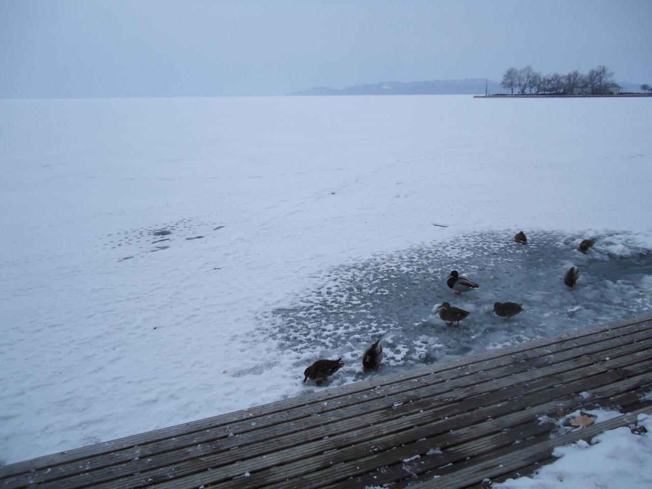 Kek Laguna Vendeghaz Balatonfured Exterior photo